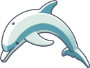 Jumping Dolphin
